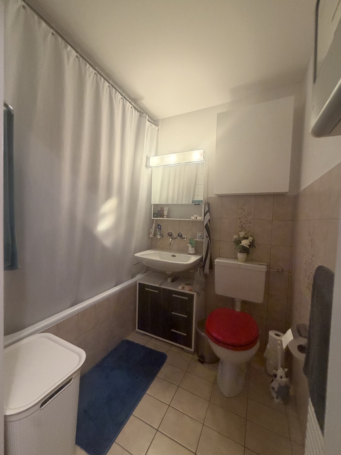 Appartamento di 2 ½ locali
