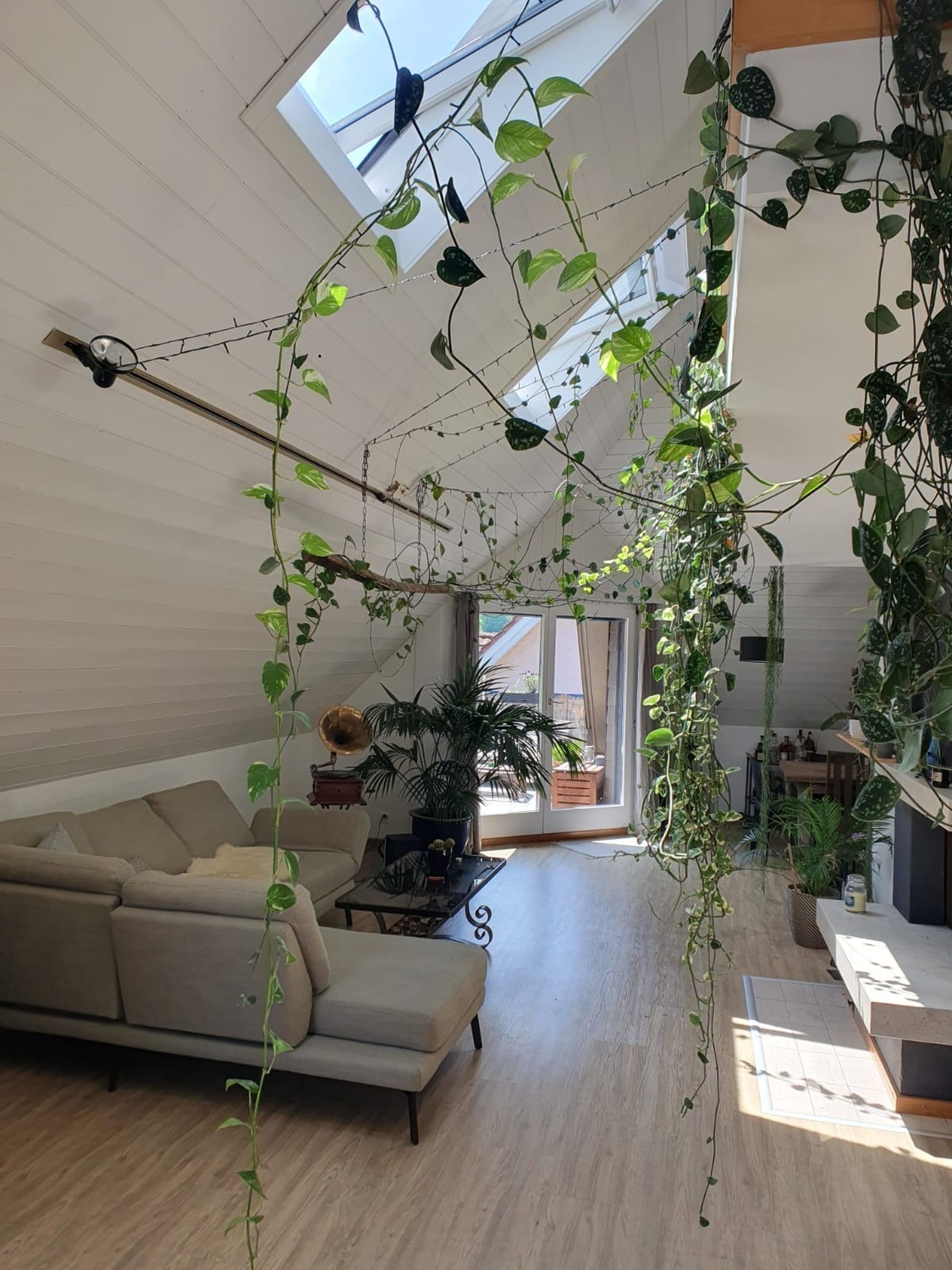 Room in a shared flat