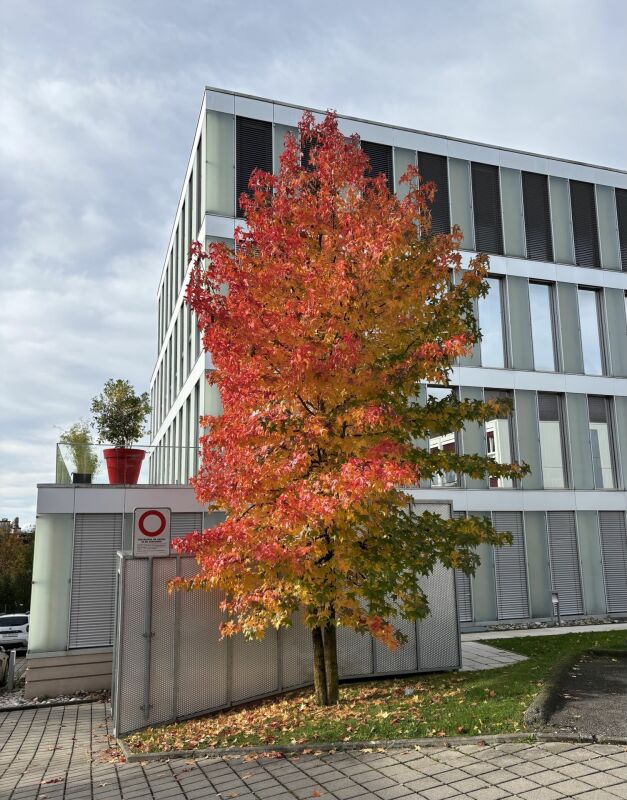 118m² Büro