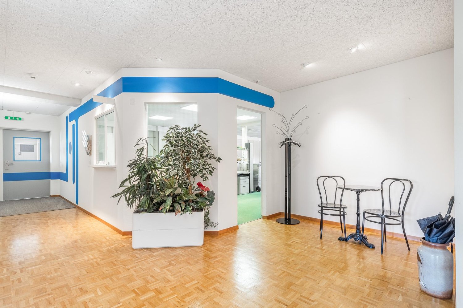 55m² ufficio