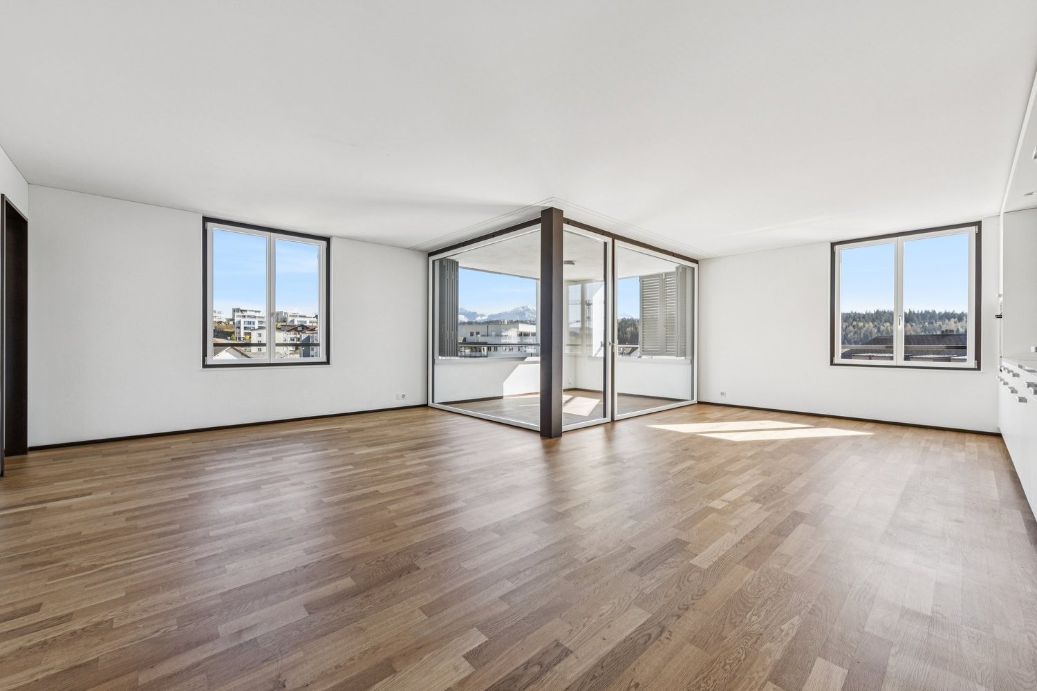 4 ½ rooms apartment