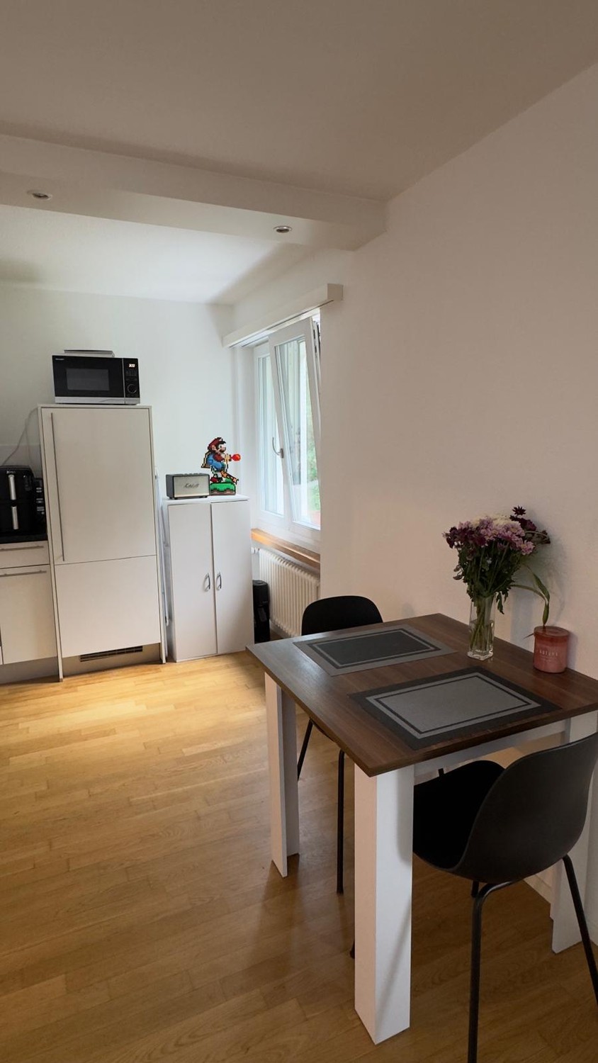 1 ½ Zimmer-Wohnung