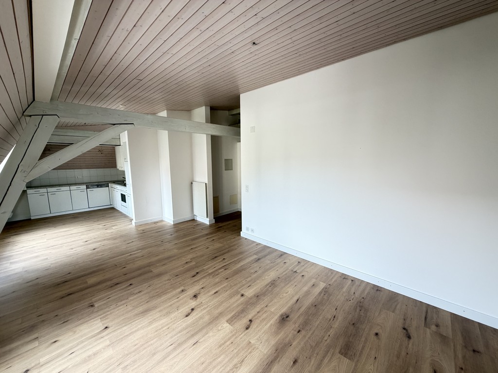 3 ½ Zimmer-Wohnung