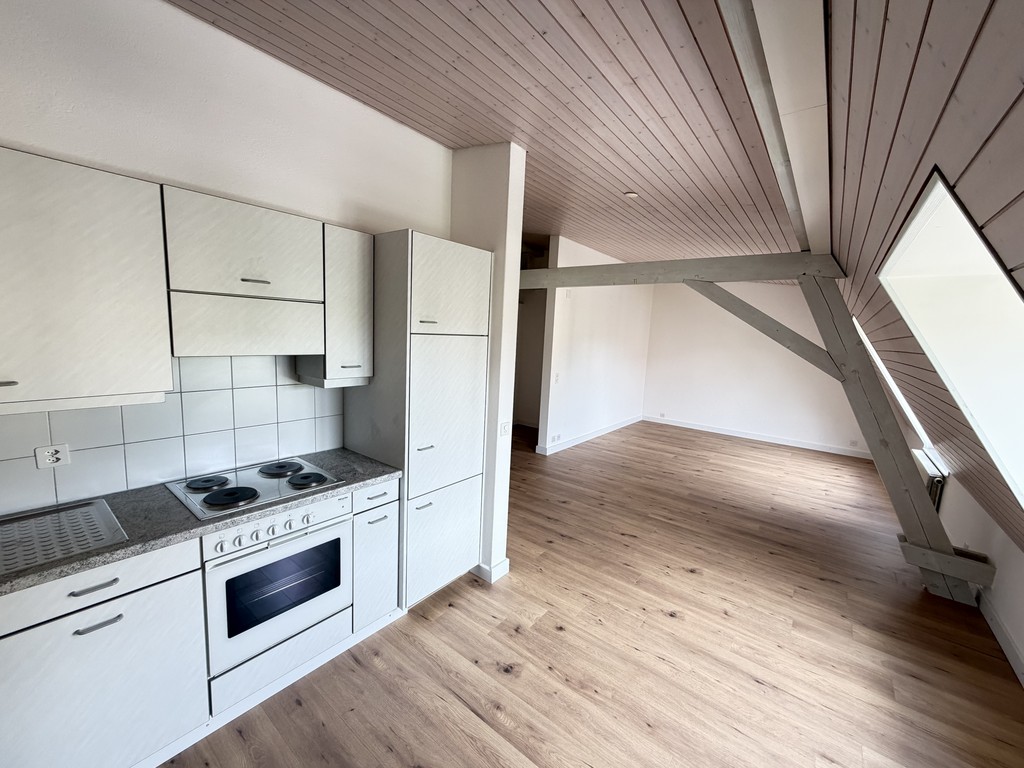 3 ½ Zimmer-Wohnung