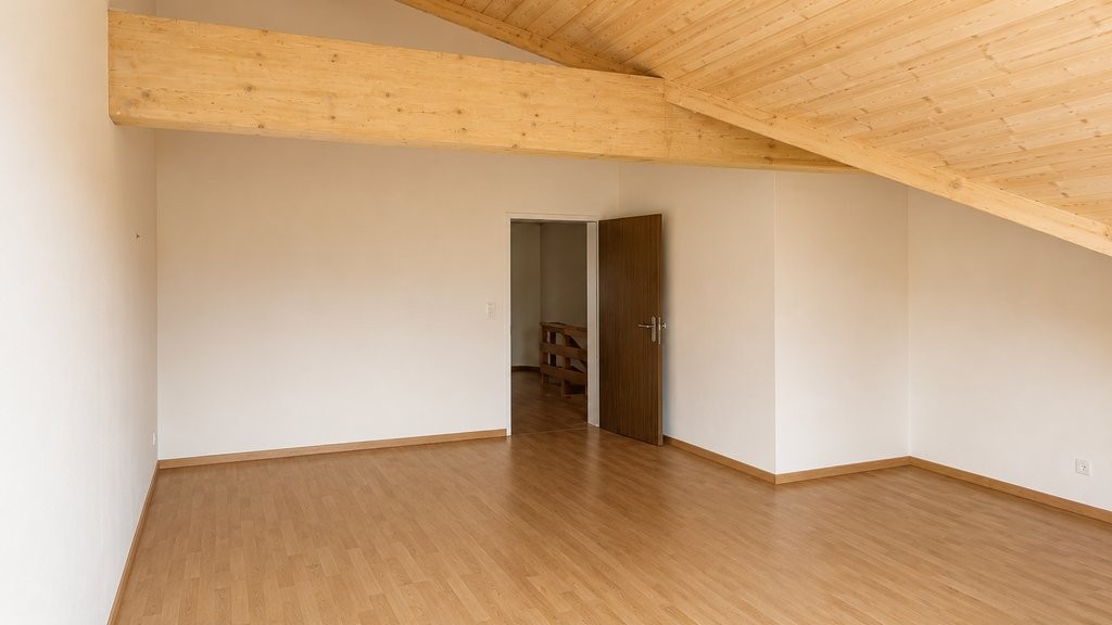 5 ½ rooms duplex