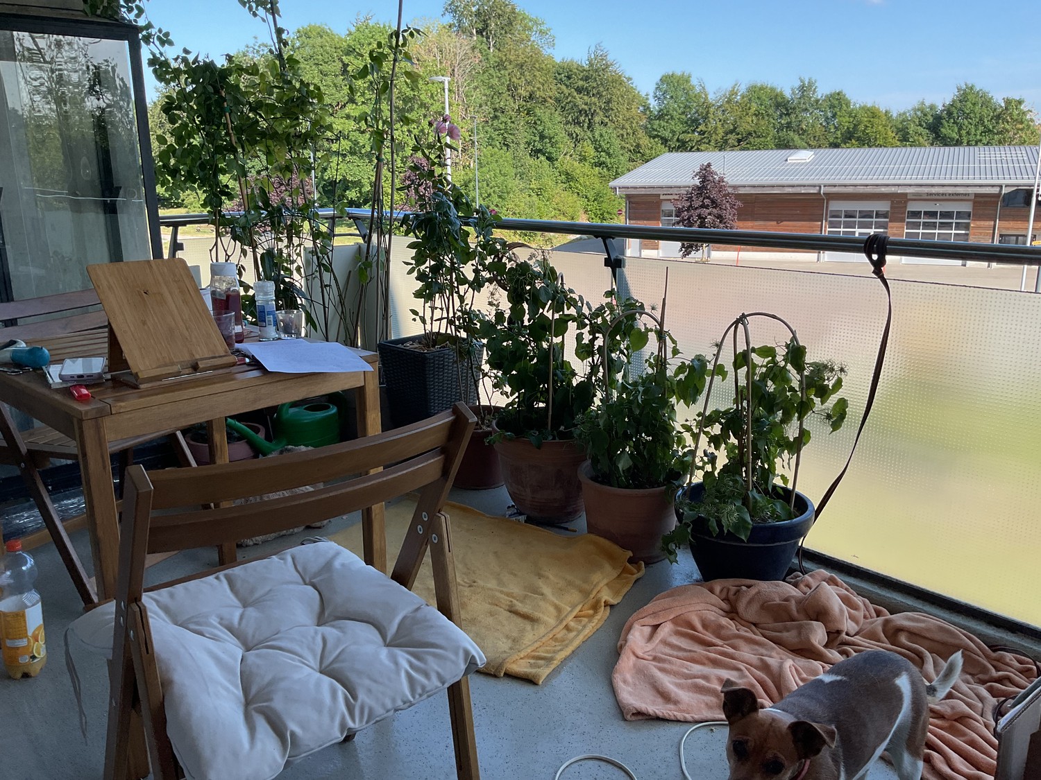 4 ½ rooms apartment