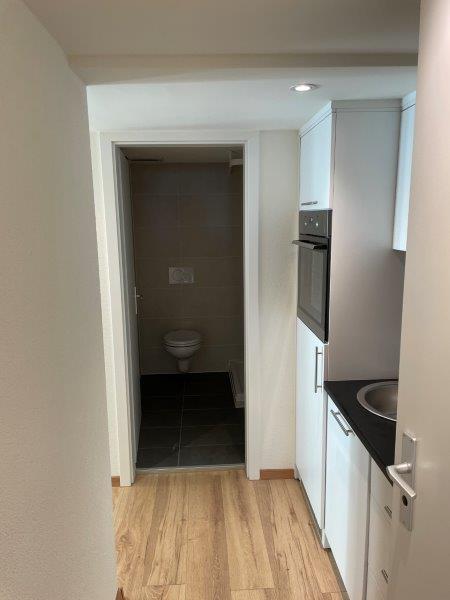 1 room apartment
