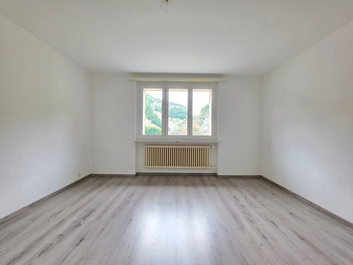 3 ½ Zimmer-Wohnung