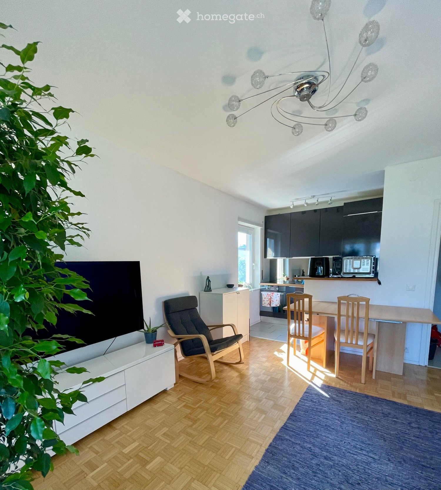 3 ½ Zimmer-Wohnung