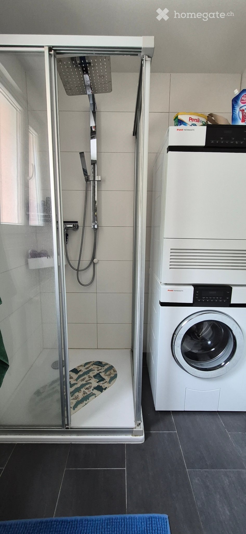 3 ½ Zimmer Wohnung