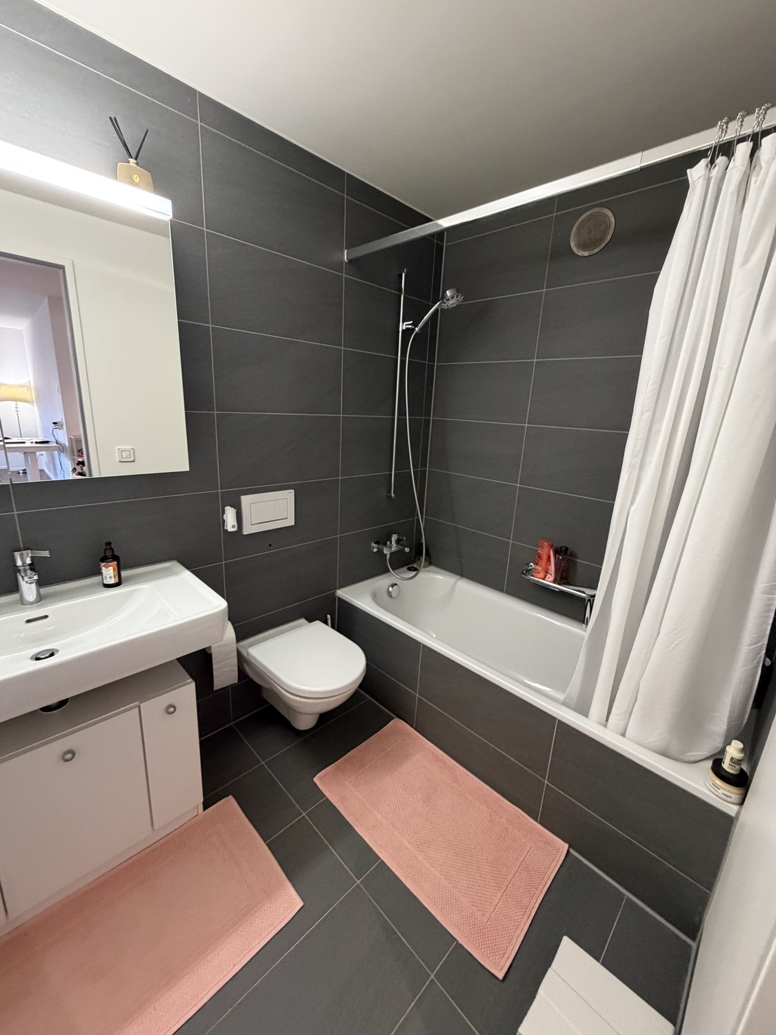 2 ½ rooms apartment