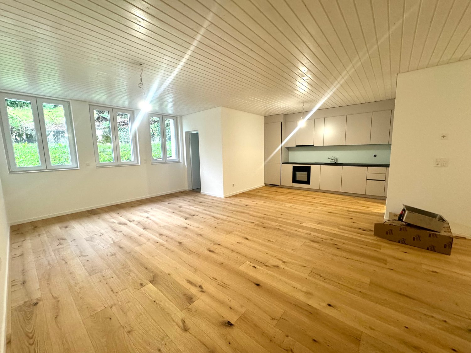 2 ½ rooms apartment