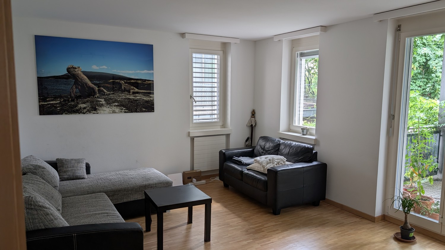 Room in a shared flat