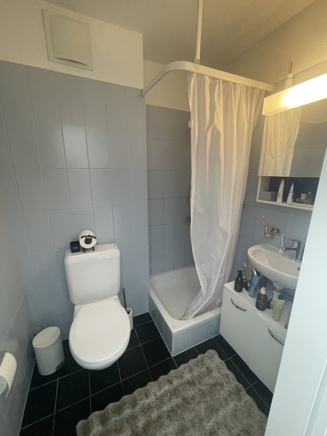Appartement de 4 ½ pièces
