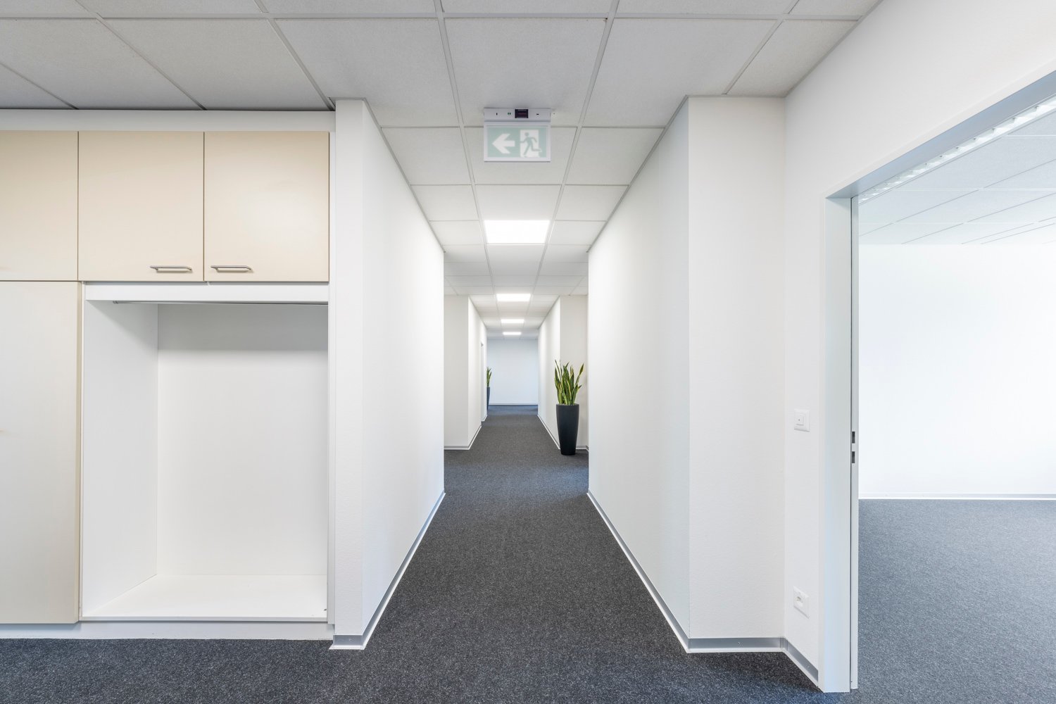 53m² office