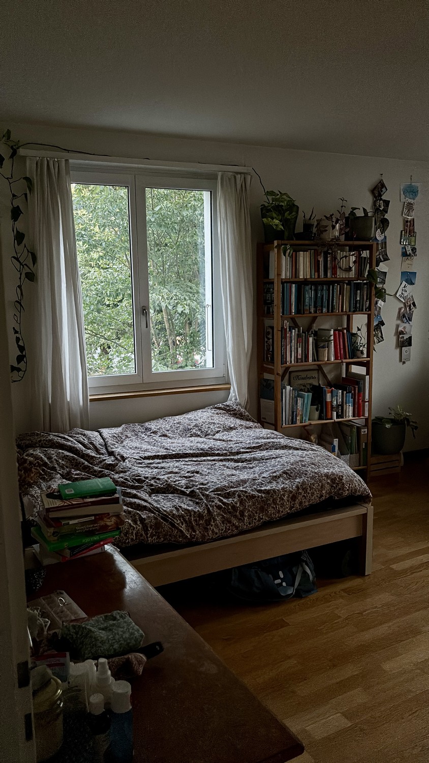 Room in a shared flat
