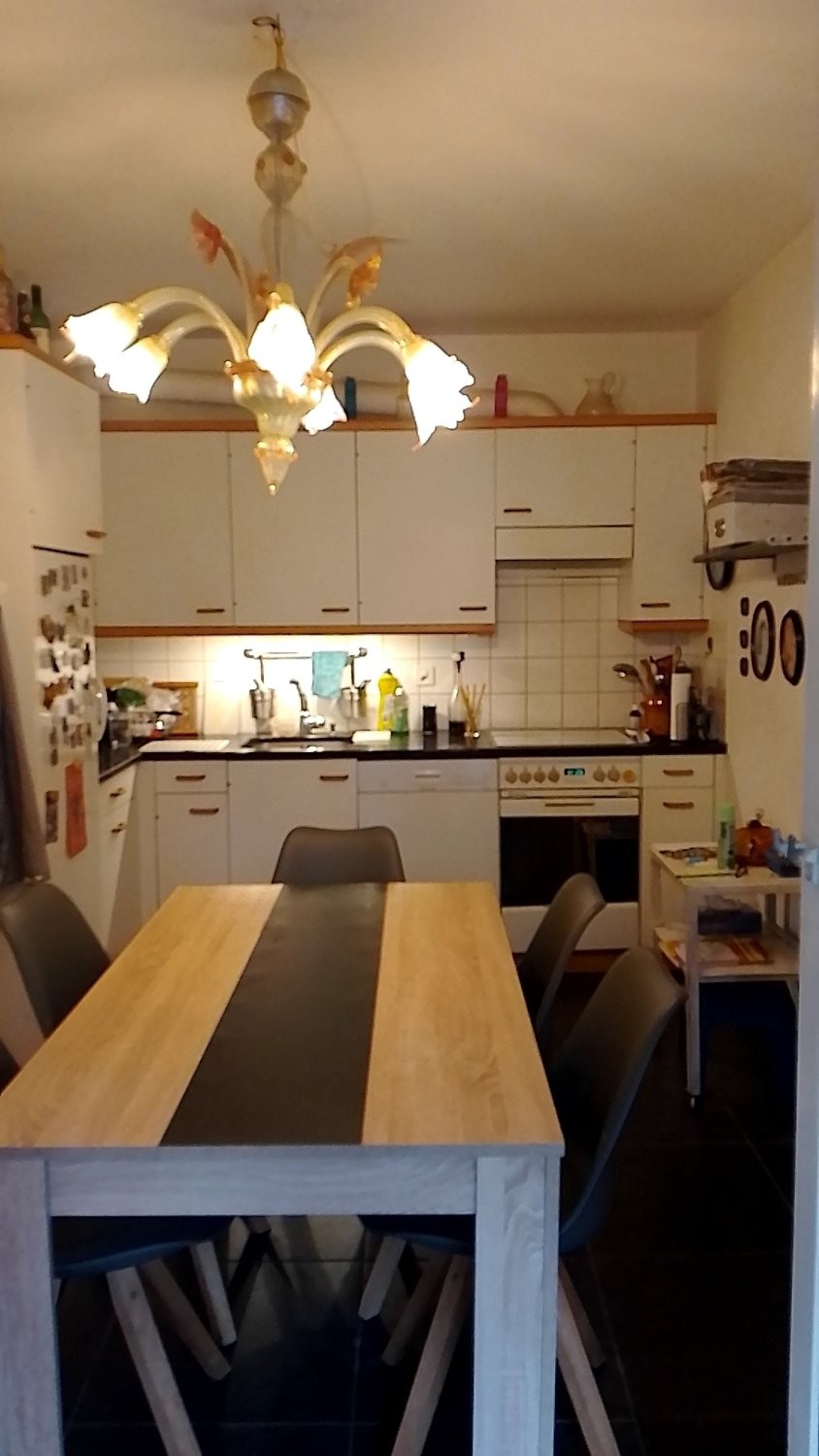 Appartement meublé de 3 ½ pièces