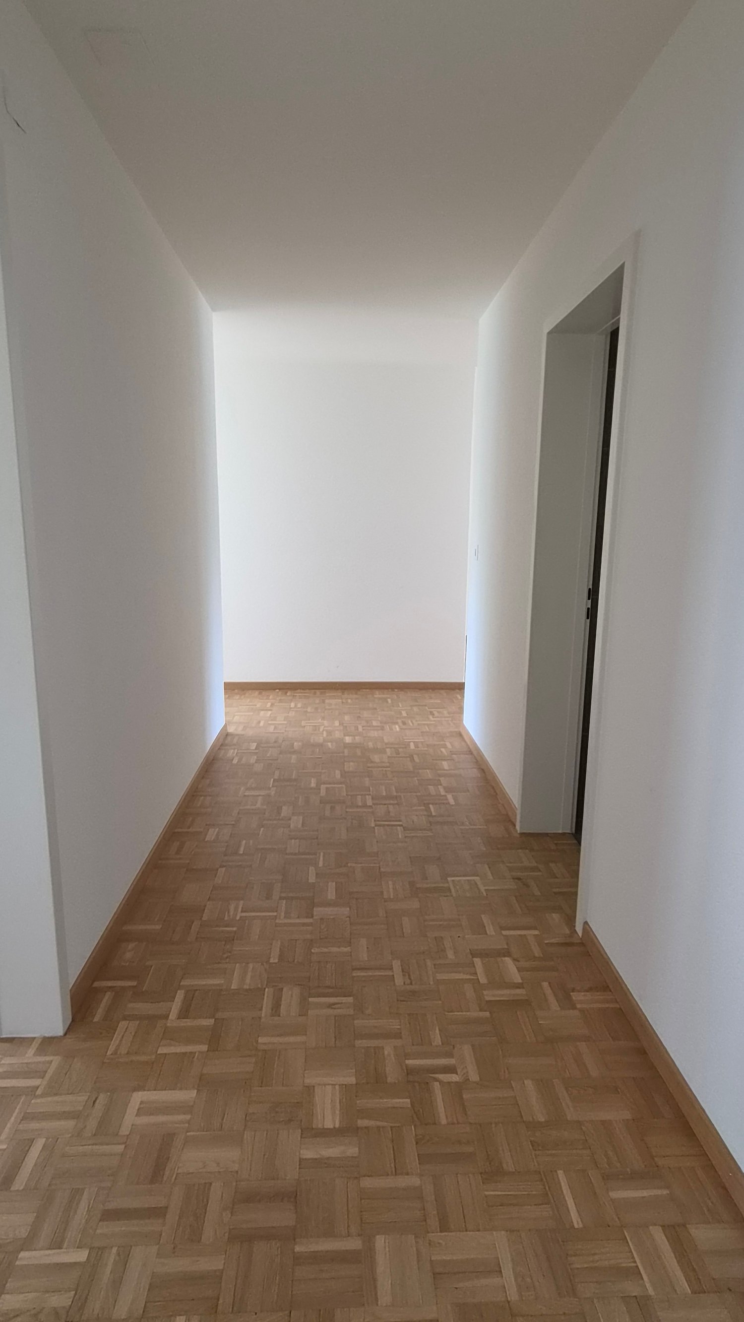 3 ½ Zimmer Wohnung