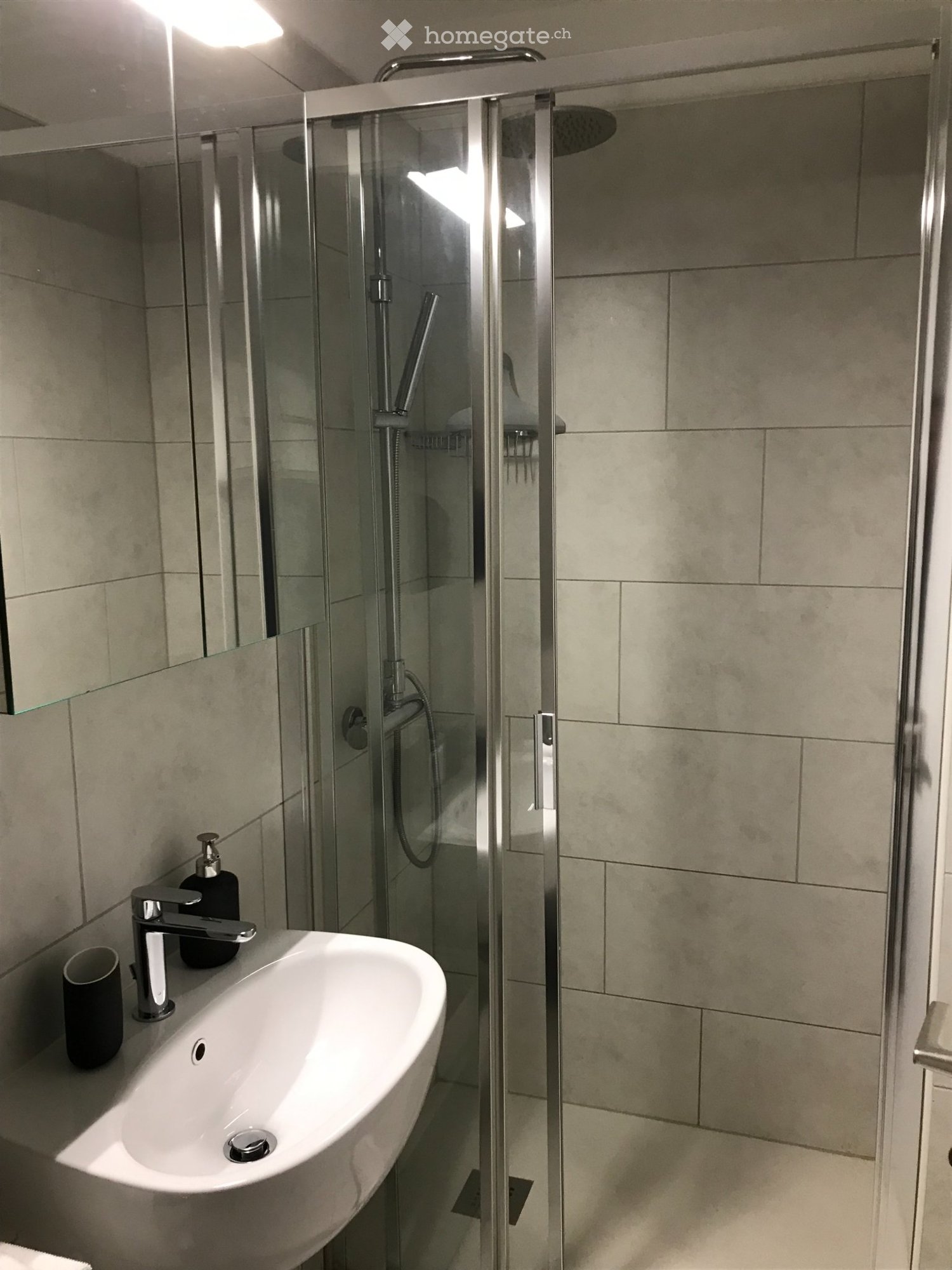 2 ½ Zimmer-Wohnung