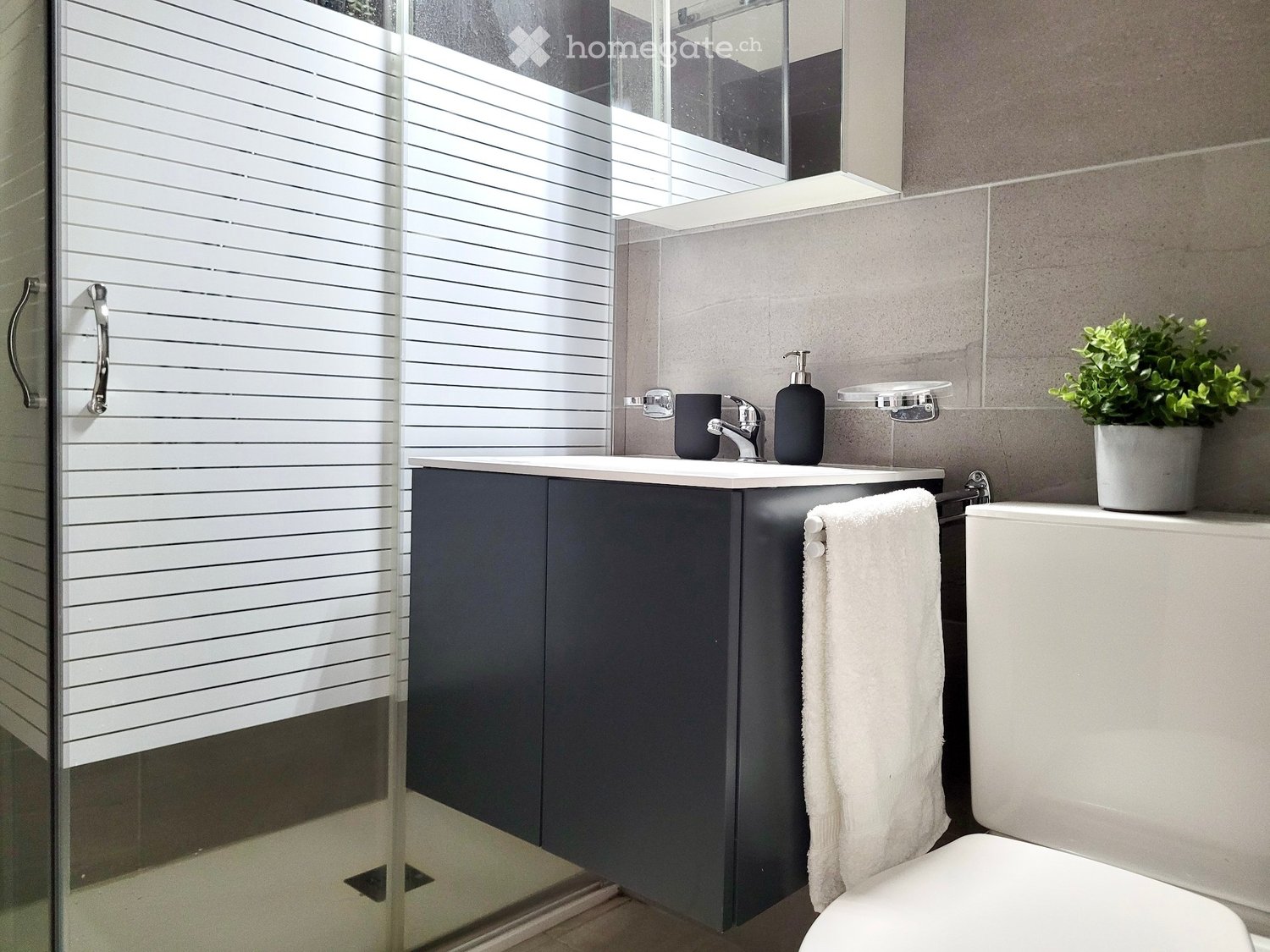 2 ½ Zimmer Wohnung