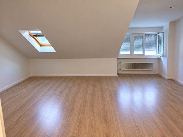 3 ½ rooms duplex