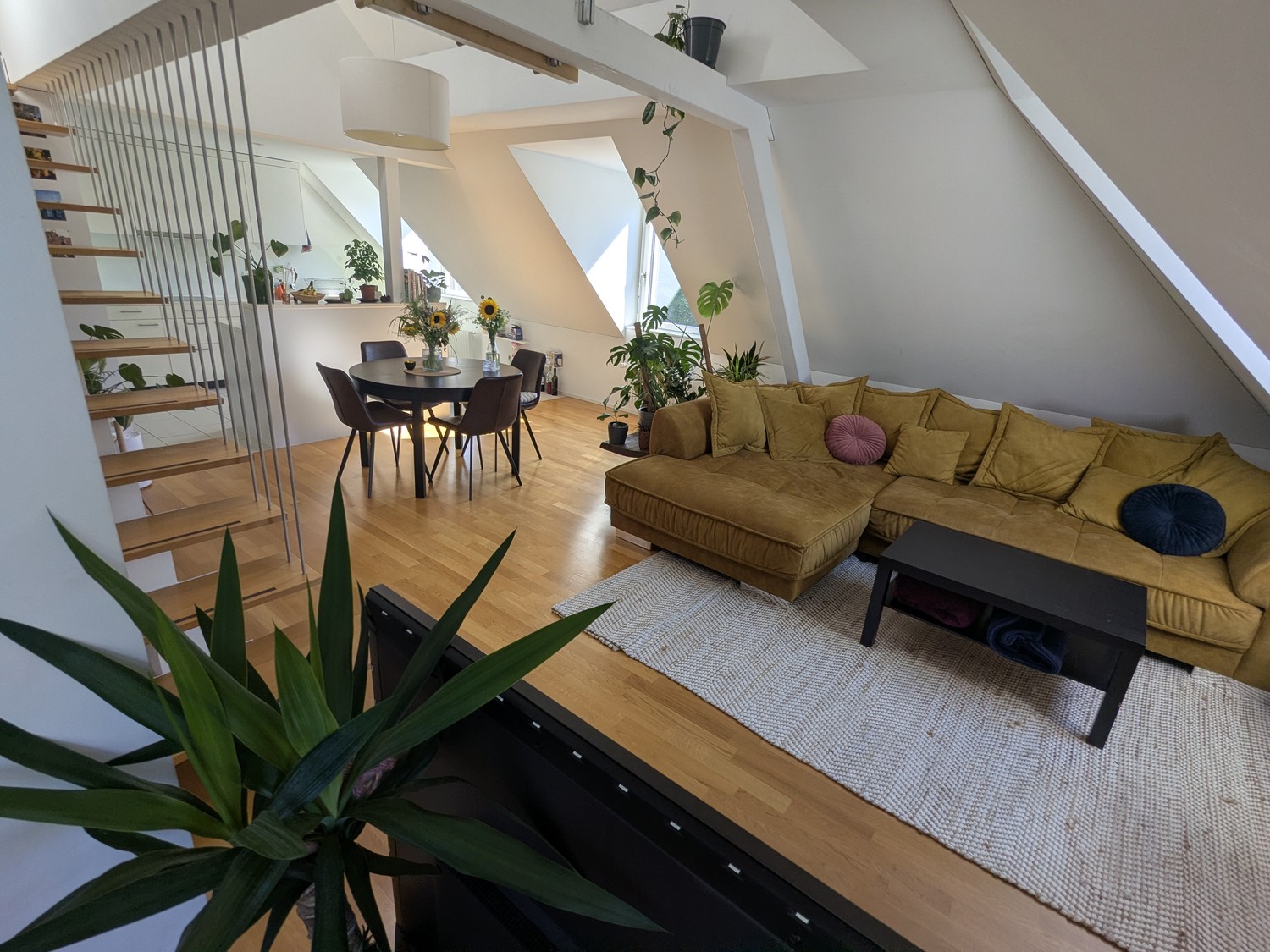 Room in a shared flat