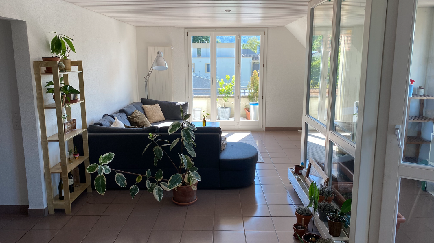 Room in a shared flat
