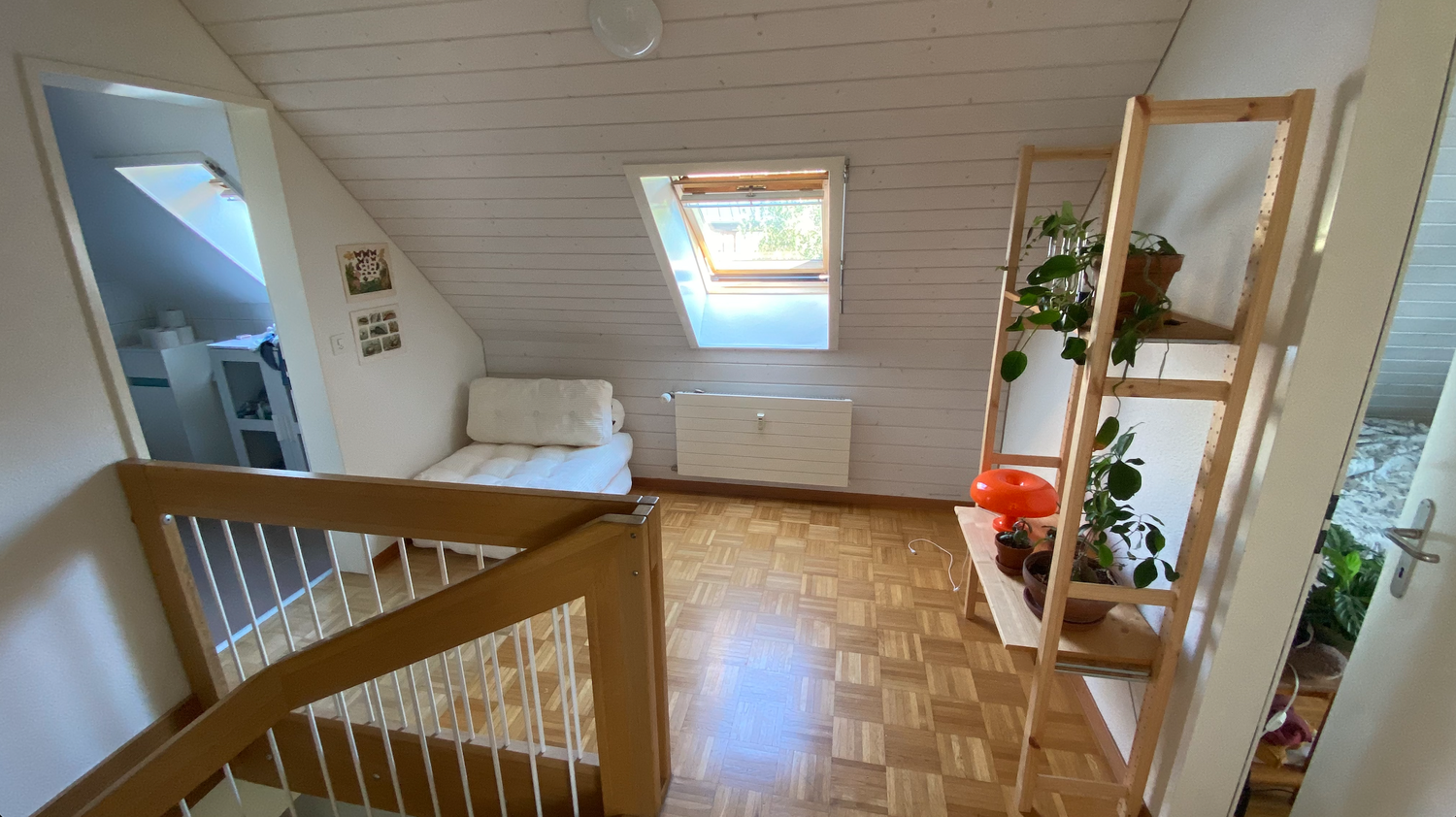 Room in a shared flat