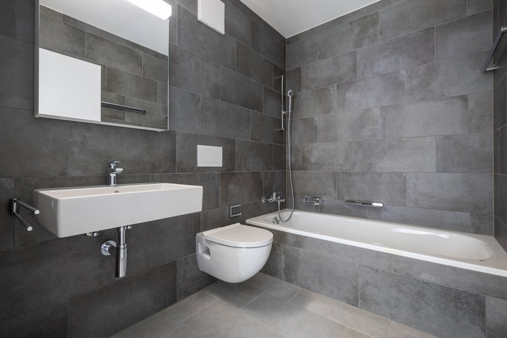 3 ½ Zimmer-Wohnung