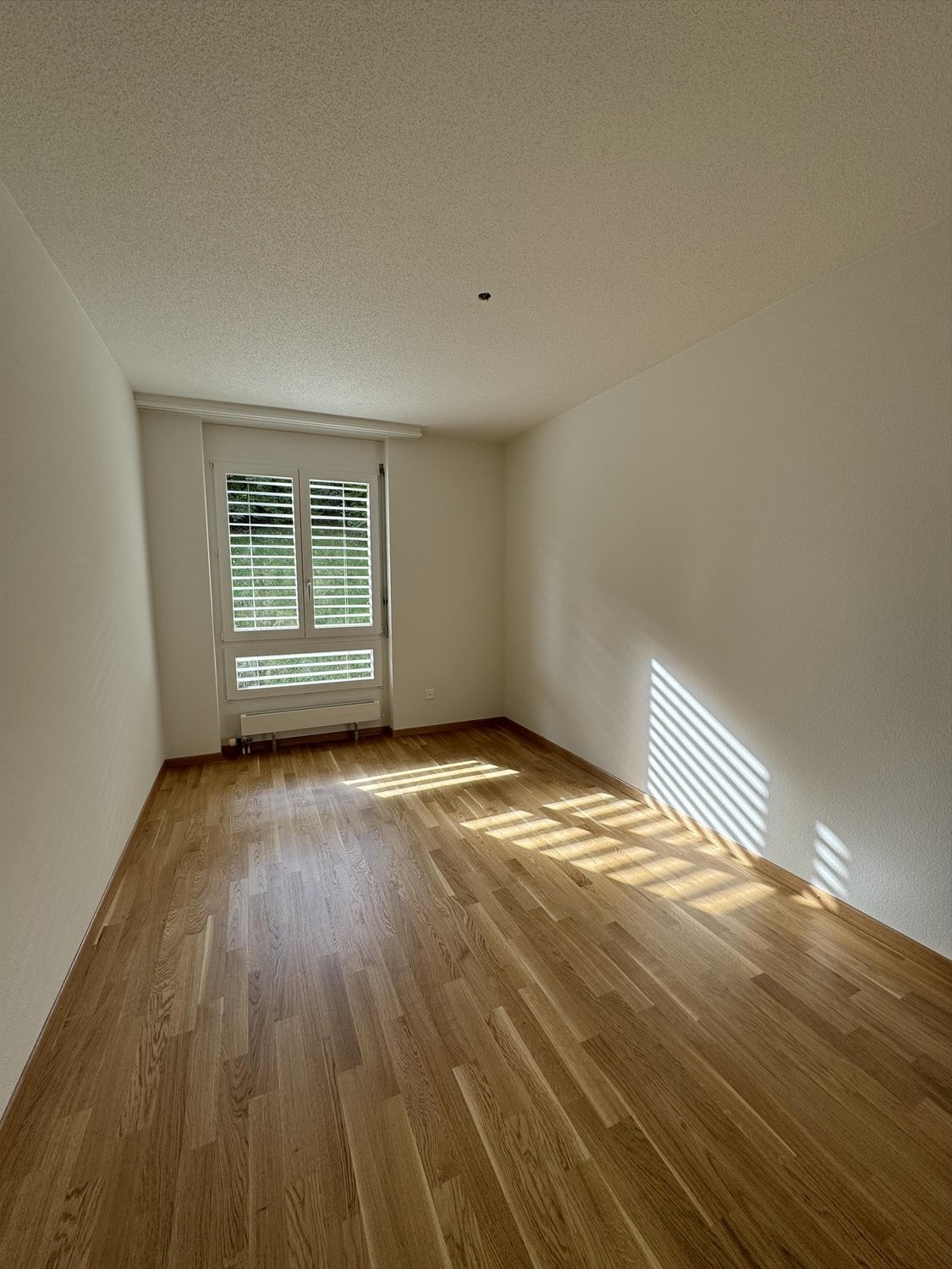 4 ½ Zimmer Wohnung