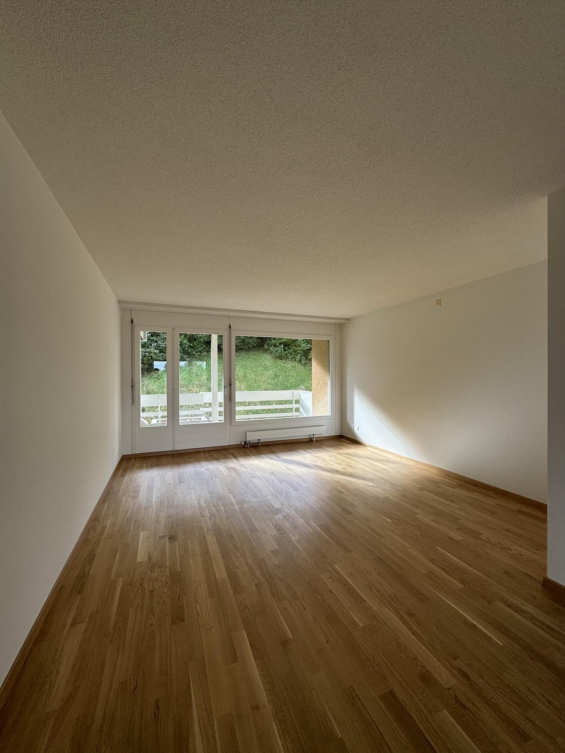 4 ½ Zimmer Wohnung