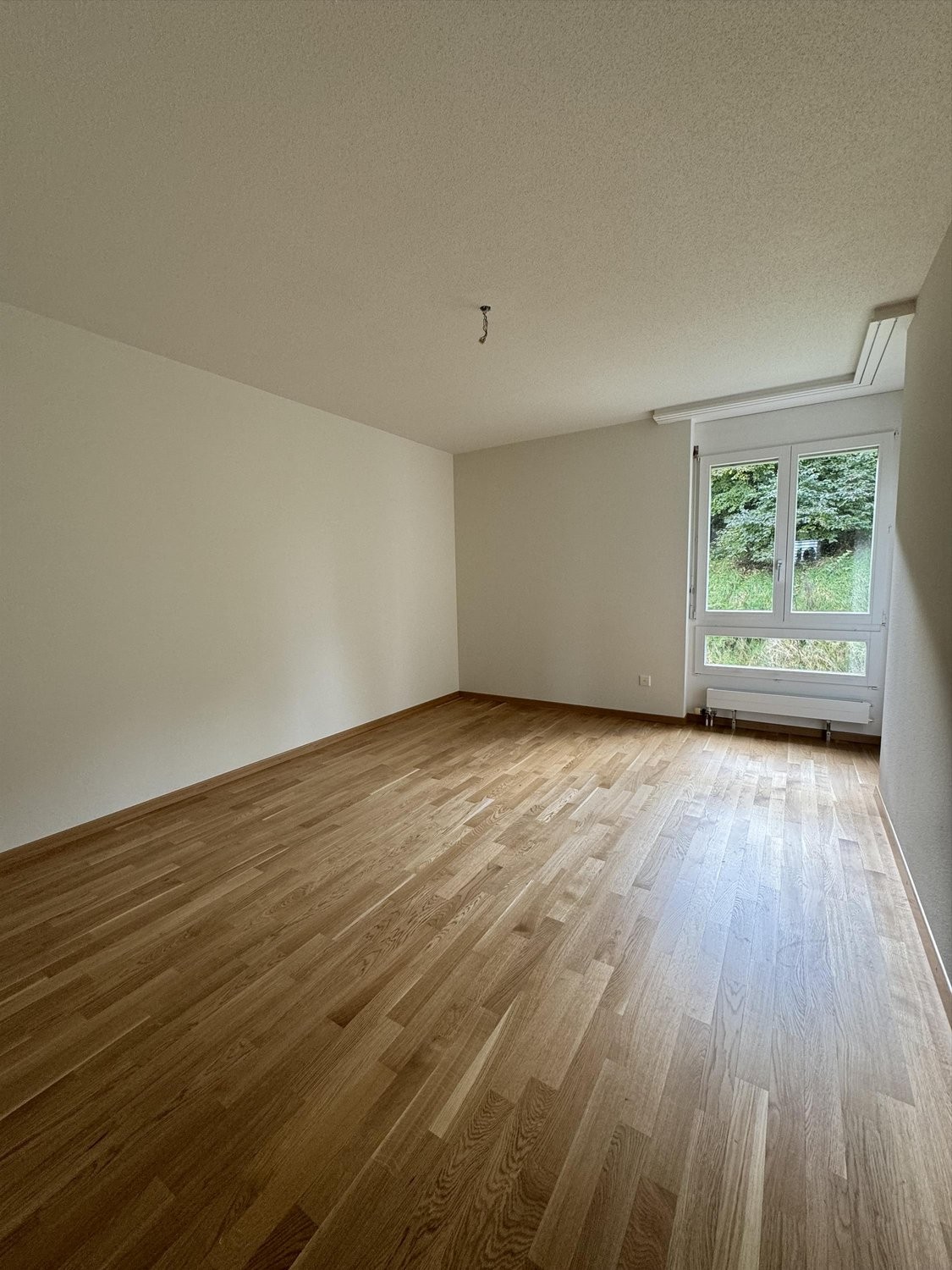 4 ½ Zimmer Wohnung