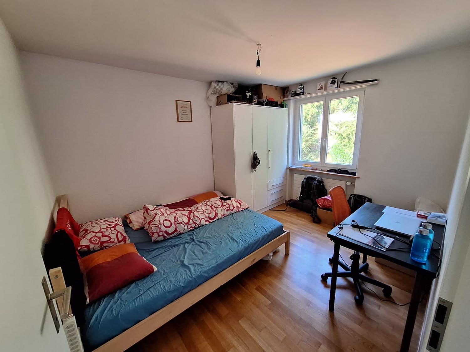 Room in a shared flat