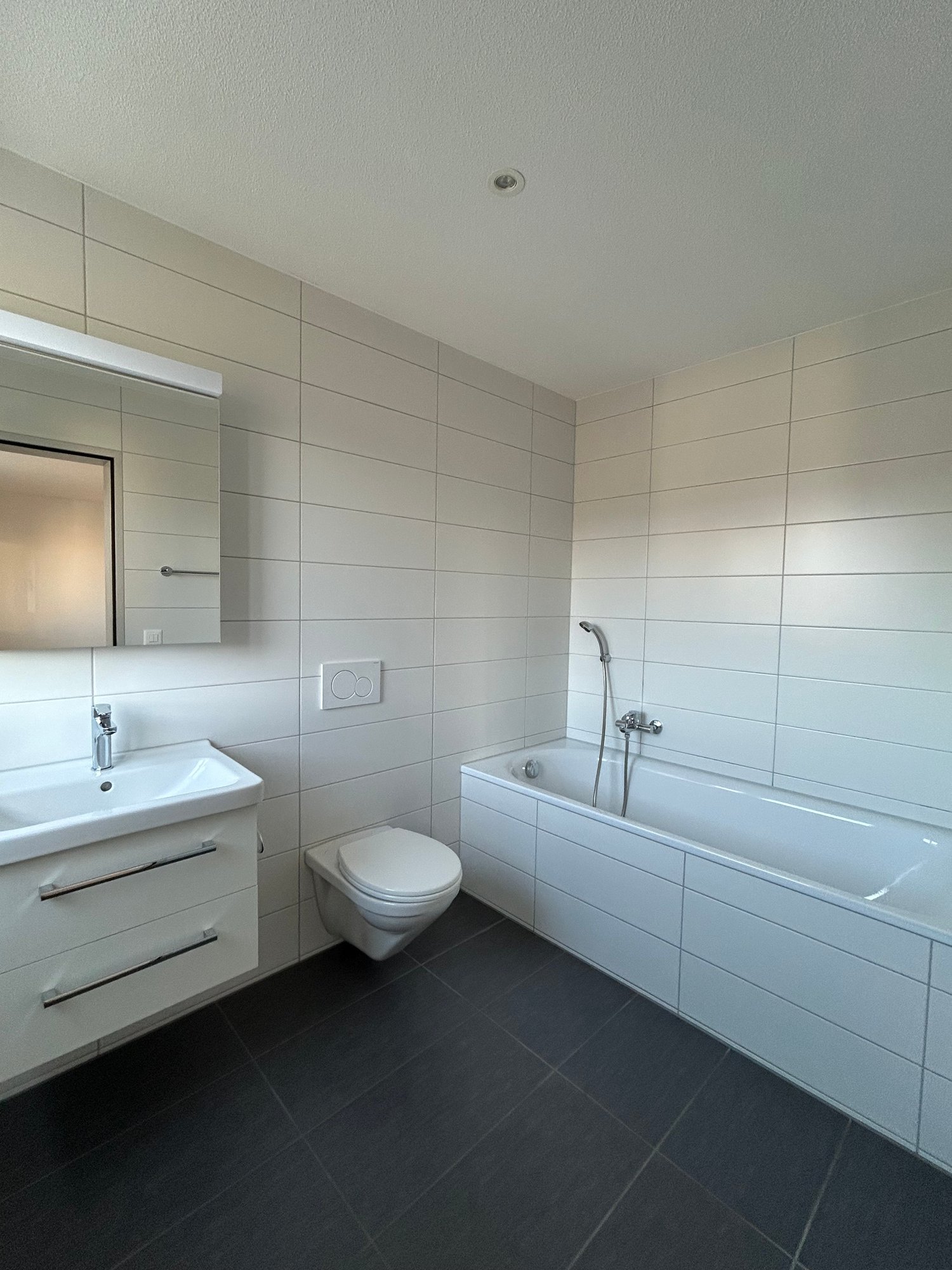 4 ½ Zimmer Dachwohnung