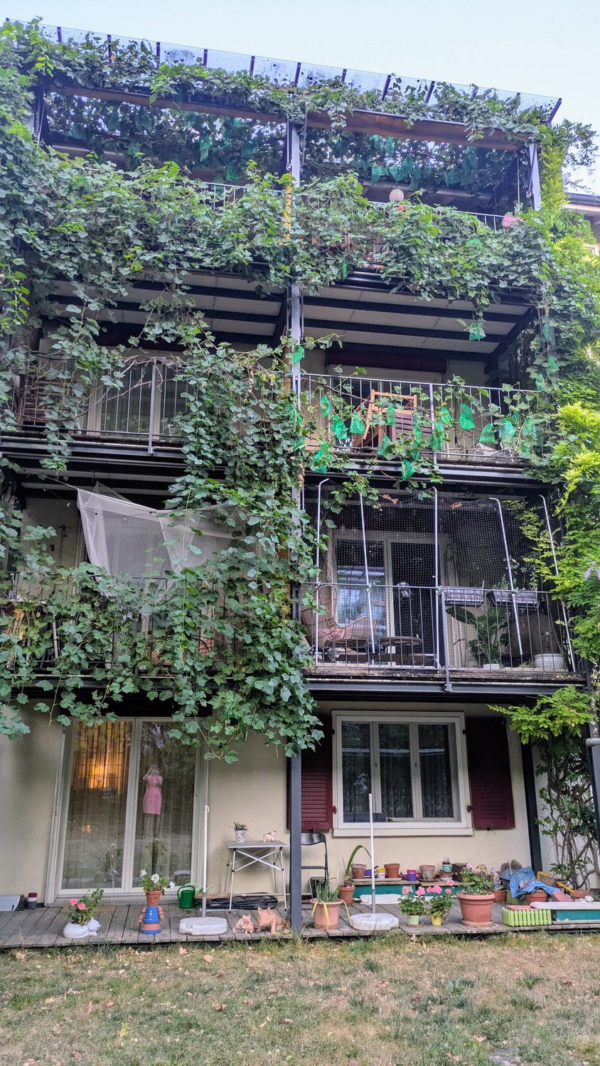 3 rooms apartment