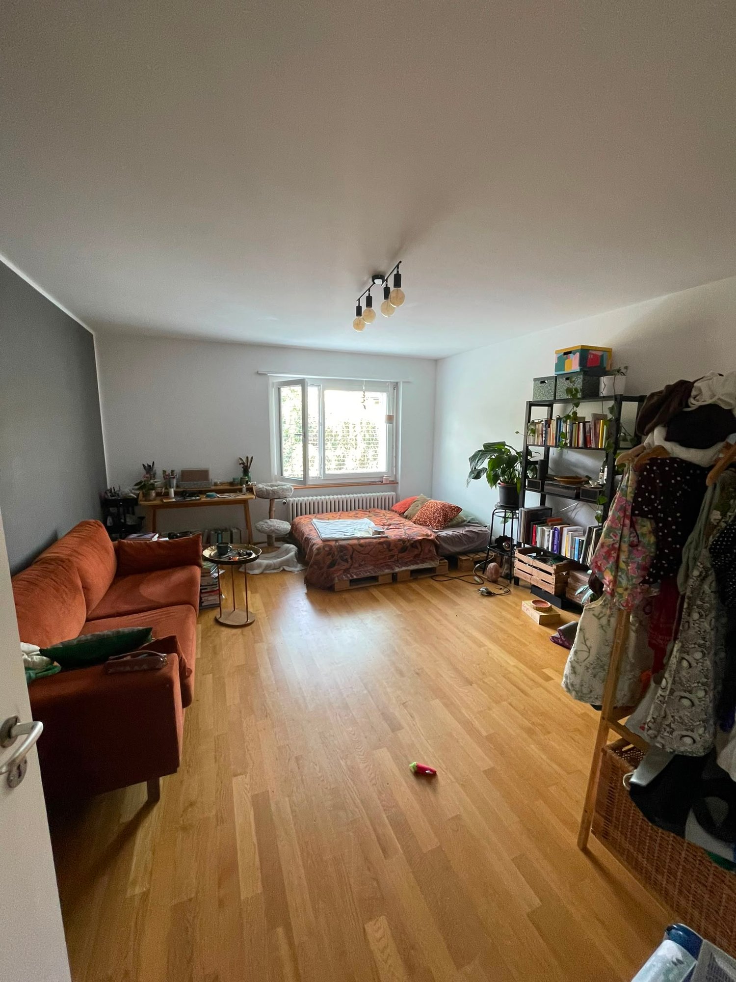 Chambre en colocation