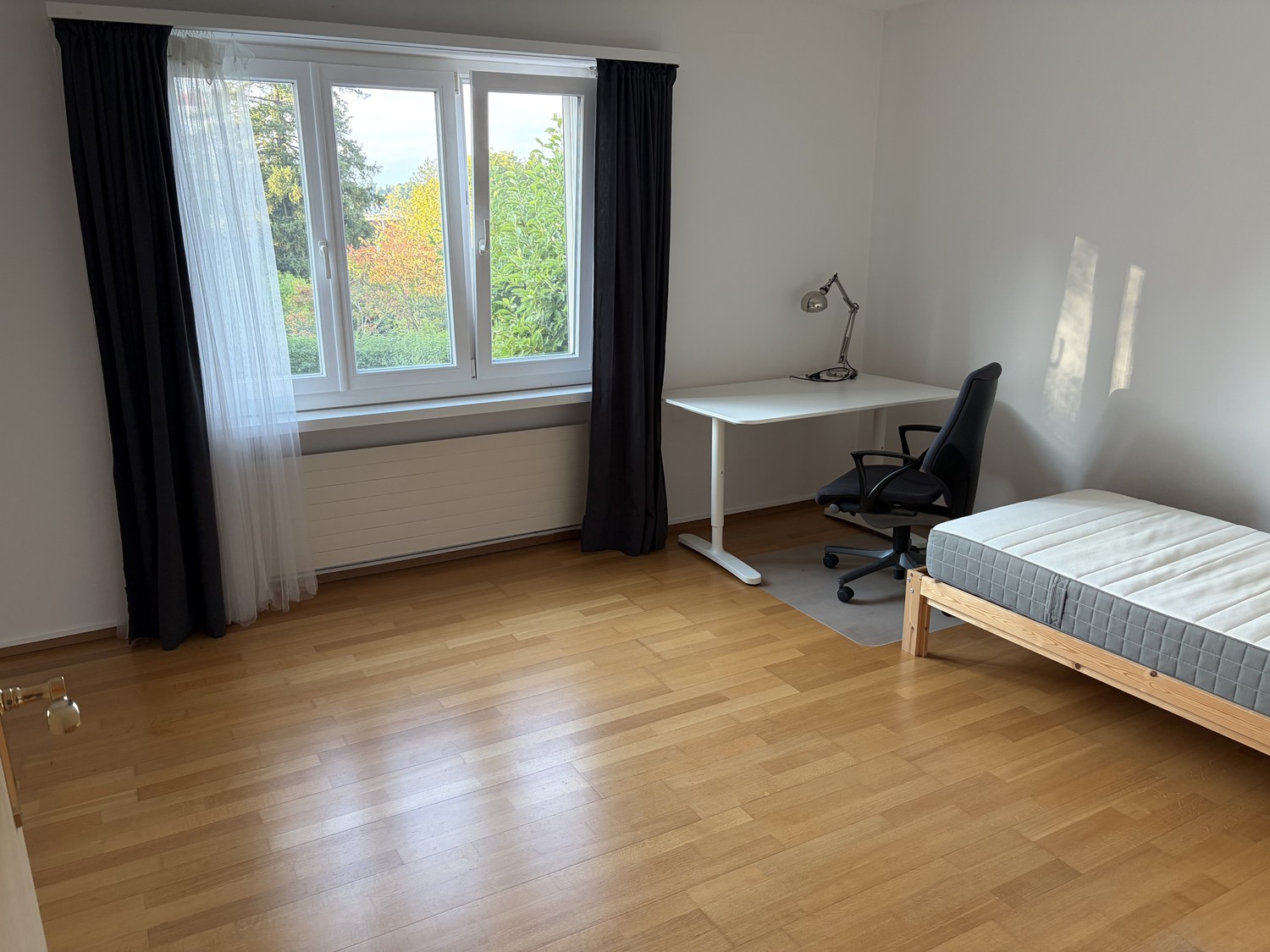 Chambre dans une colocation