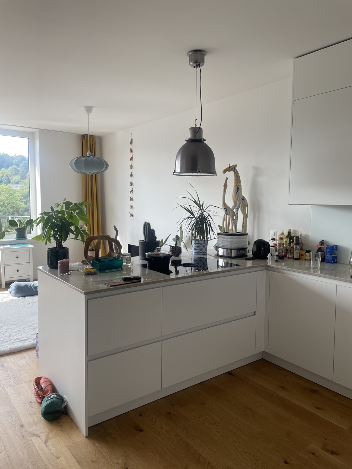 2 ½ rooms apartment
