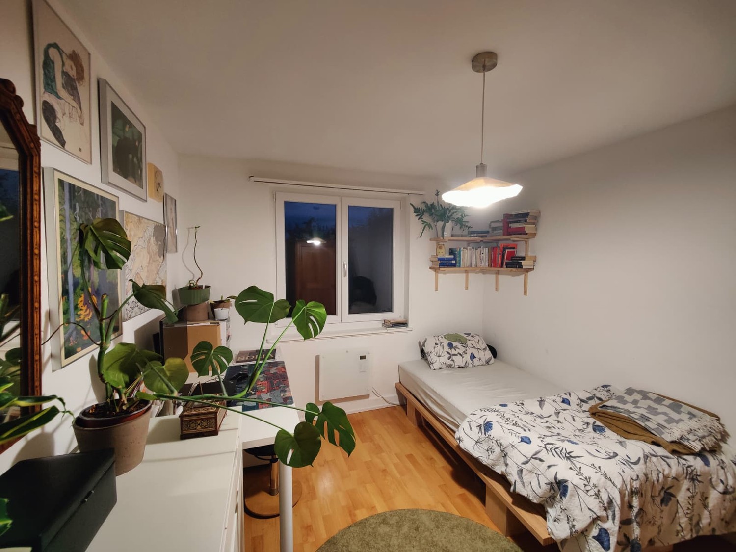 Room in a shared flat