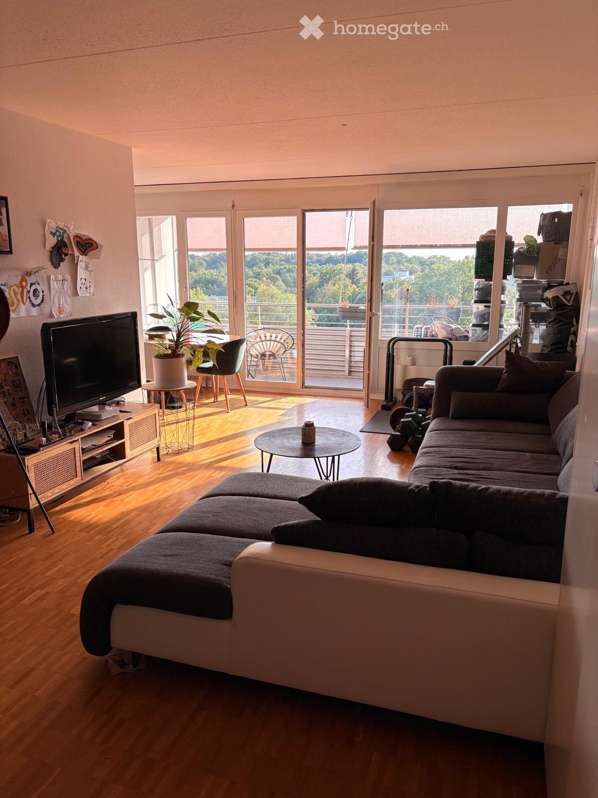 3-Zimmer-Wohnung