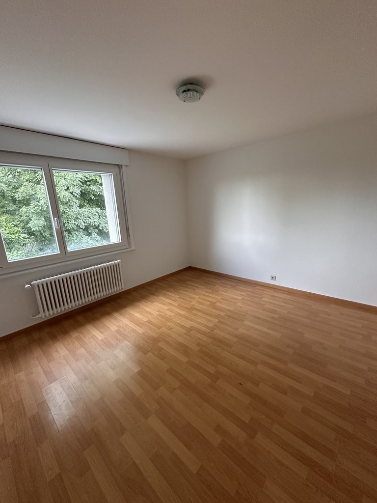 4 ½ Zimmer-Wohnung