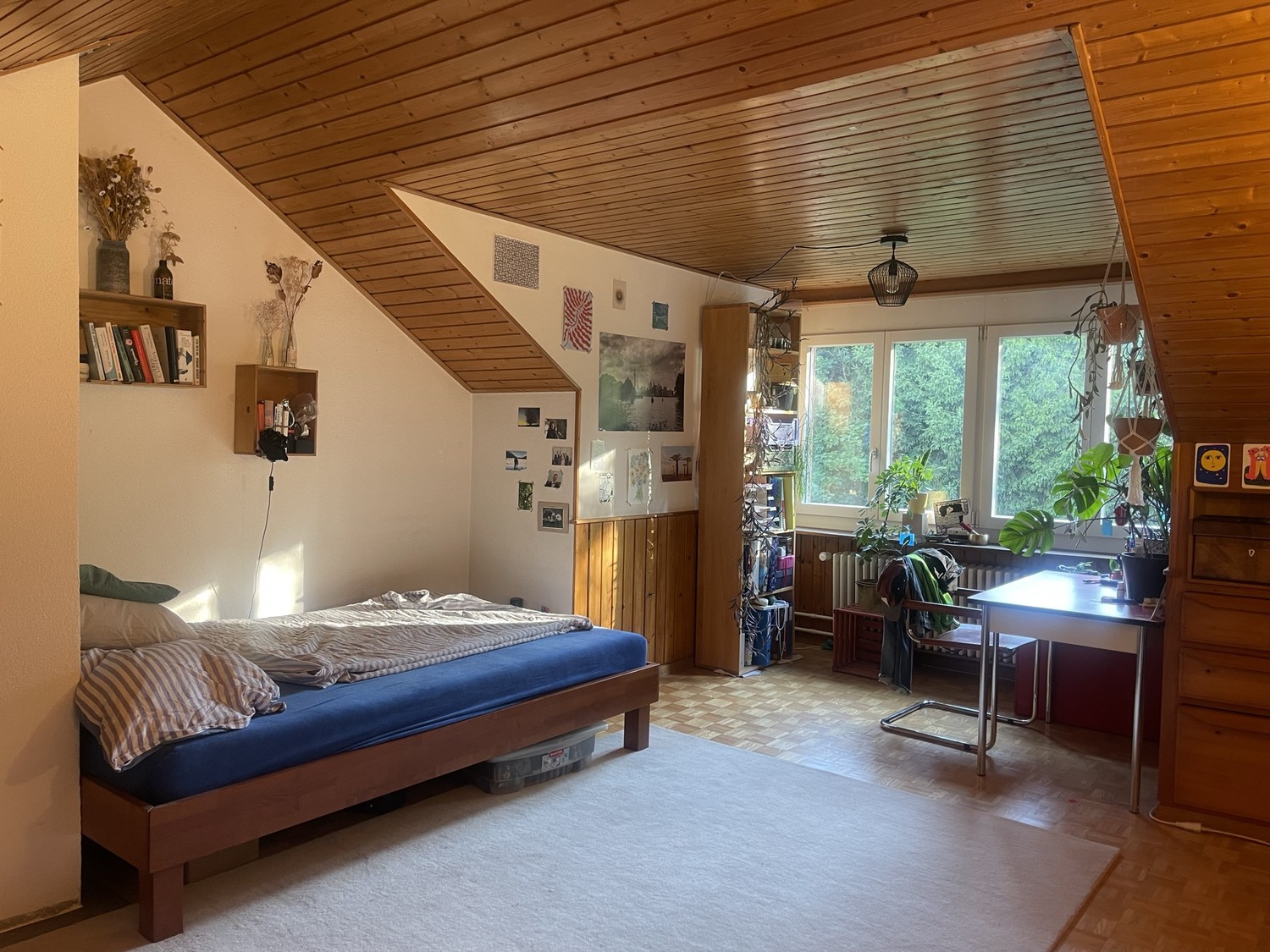 Room in a shared flat