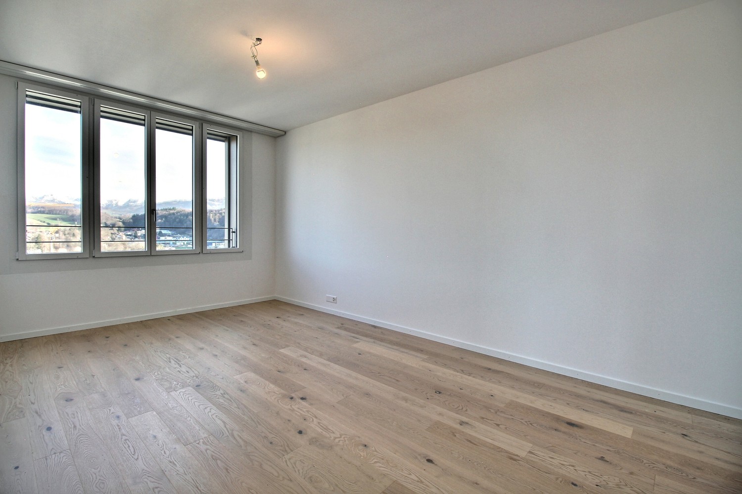 4 ½ Zimmer-Wohnung