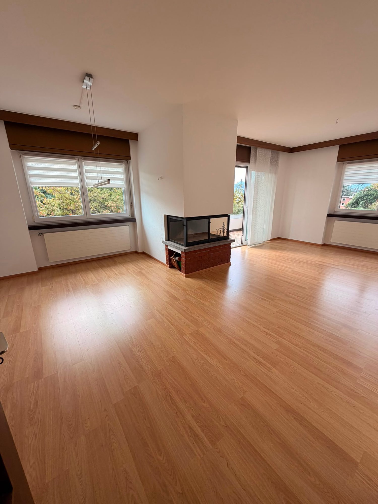 4 ½ Zimmer-Wohnung