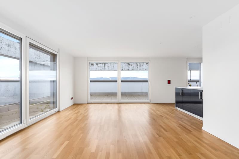 4 ½ rooms apartment
