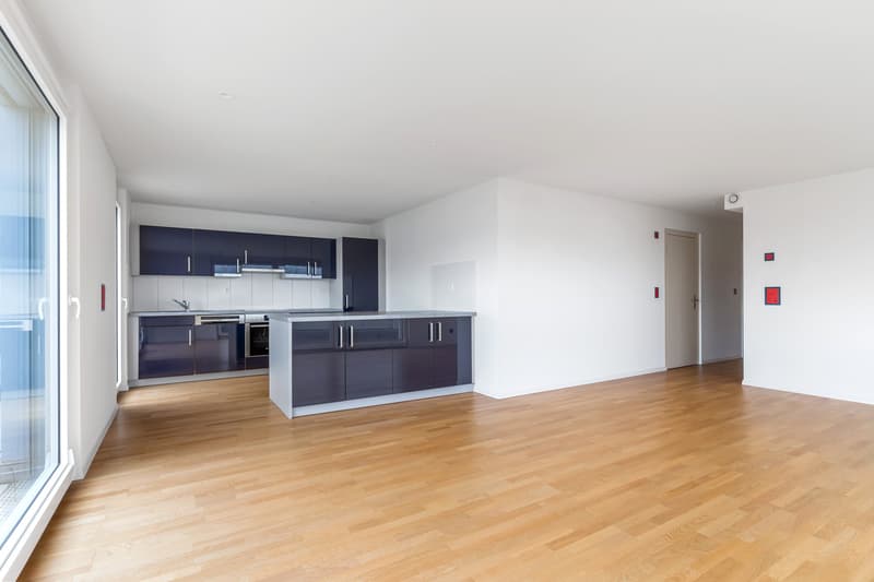 4 ½ rooms apartment