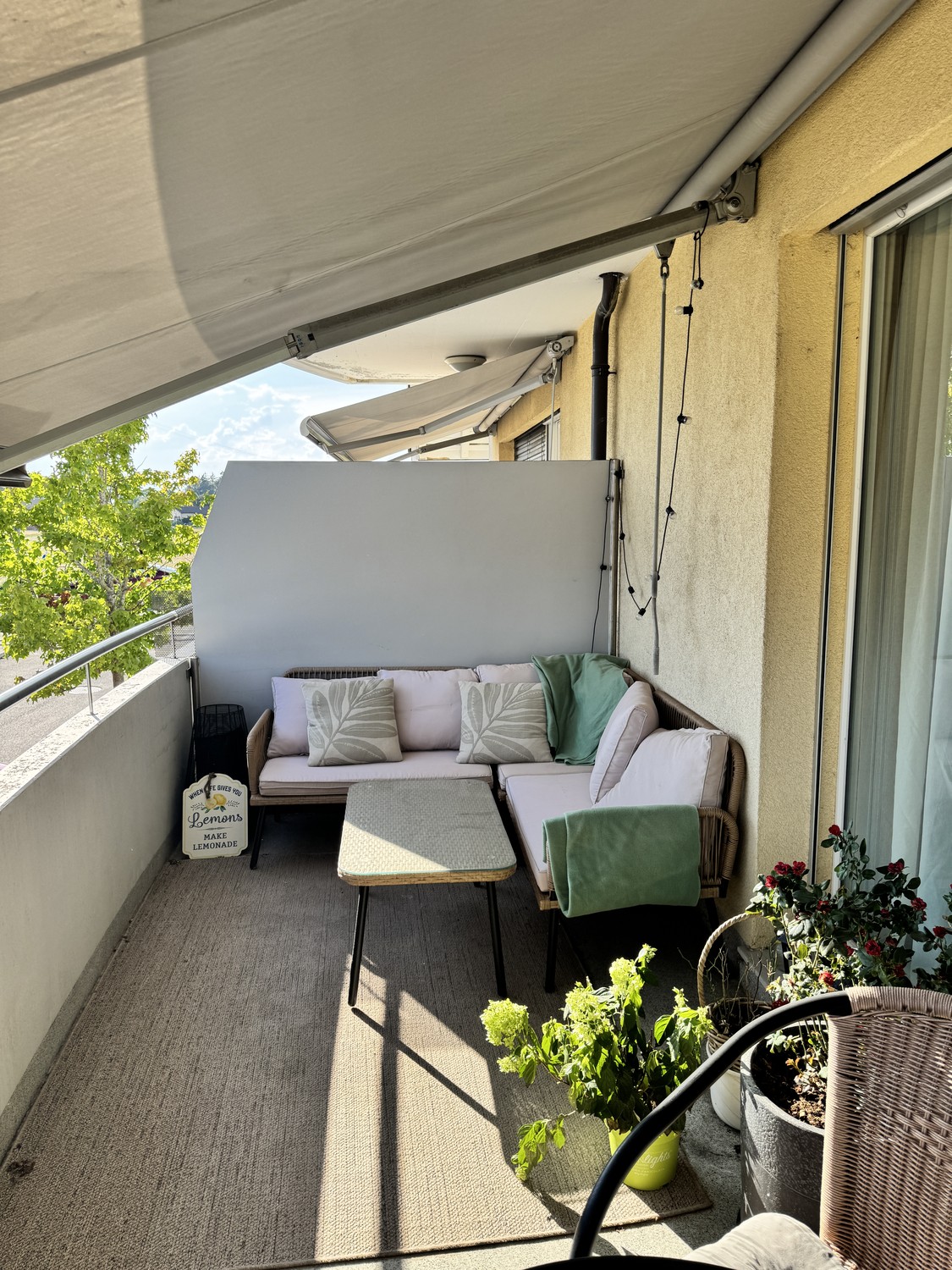 3 ½ Zimmer Wohnung