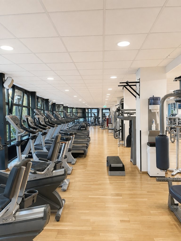 965m² commerciale