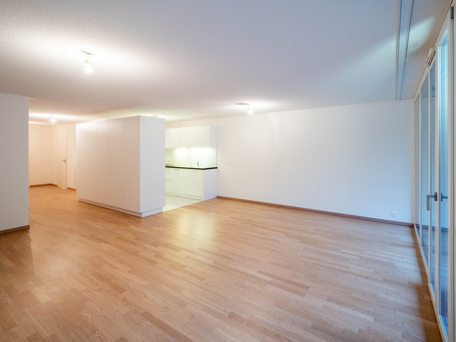 3 ½ Zimmer-Wohnung