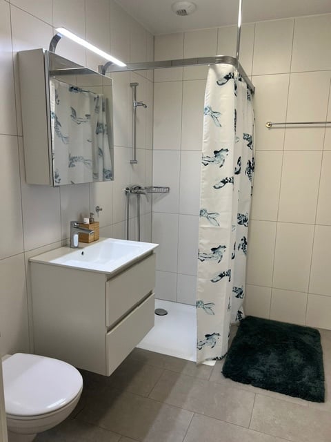 1 ½ rooms apartment